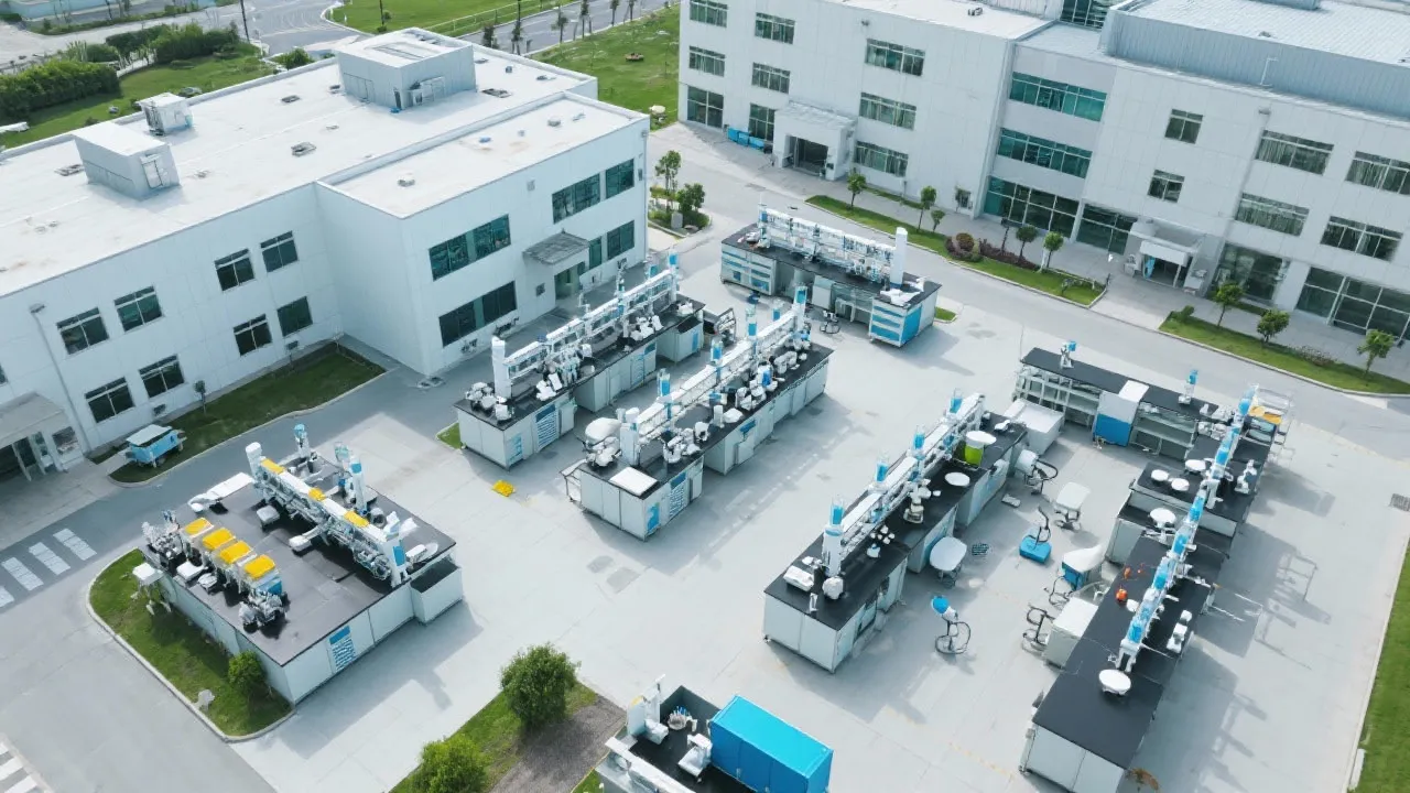 Unveiling Iprex Ole's Potential